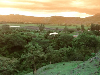 THE ORIGINAL BLACK SEED OIL of ETHIOPIA